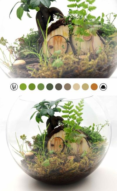 Terrarium 