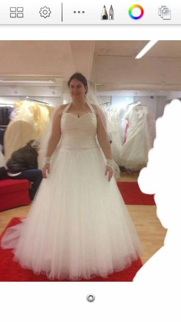 Couleur de la robe ? - 3