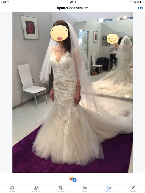 Devant de la robe