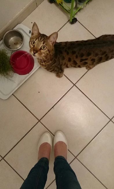 Les tâches ménagères avec les chaussures - 1