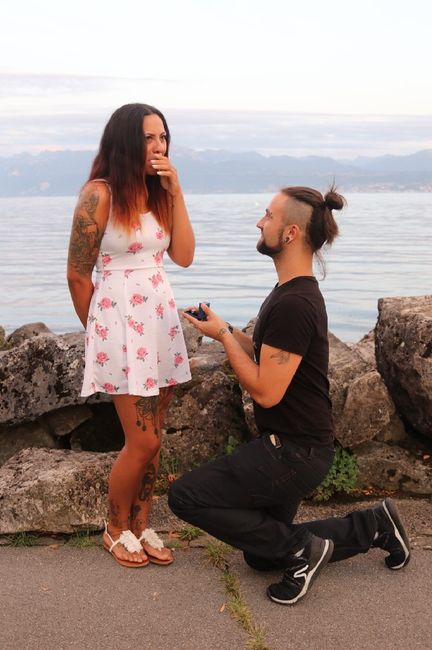 Comment s'est passée la demande en mariage? - 1