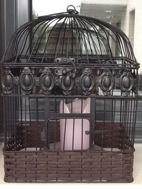 Cage déco gratuite!!