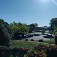 Pensée pour les mariées du 18 avril - 1