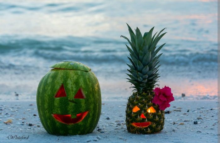 Me revoilà ! Des idées ? Thème tropical et halloween. 17
