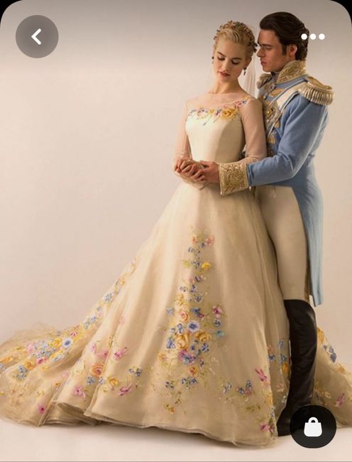 Robe de mariée inspirée par les Princesses Disney 5