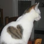 Amélie