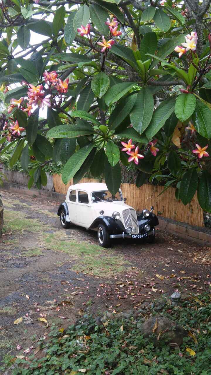  Voiture trouvé 🚗 - 1