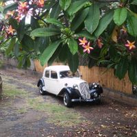  Voiture trouvé 🚗 - 1