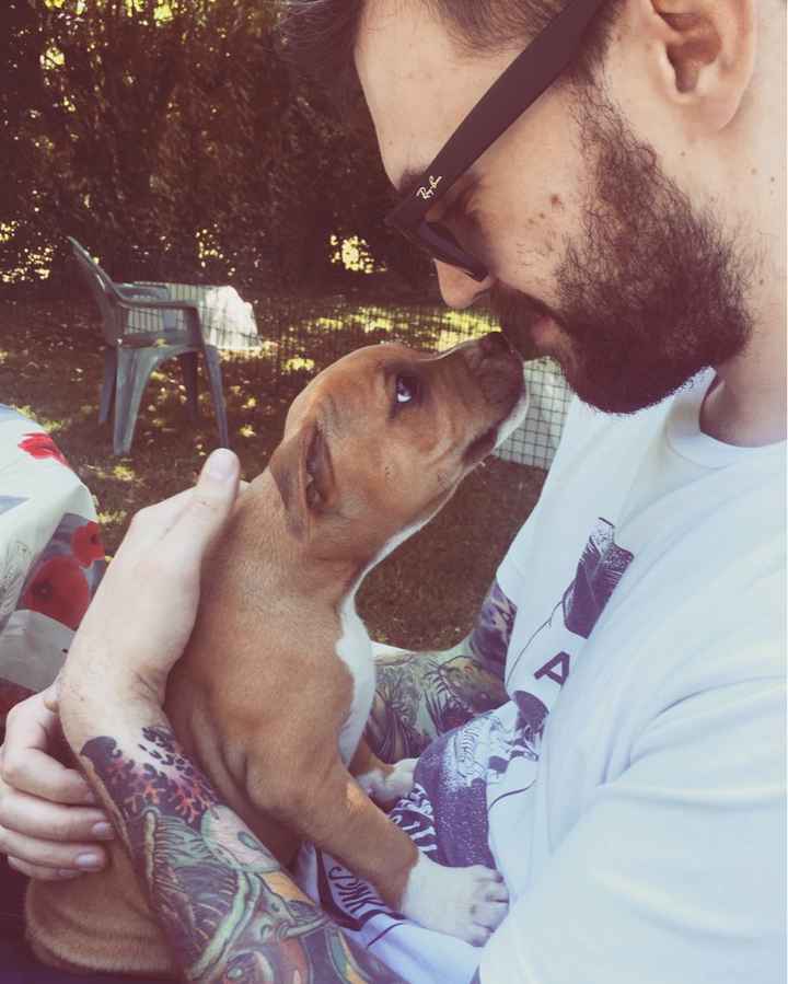 Et les animaux ? - 2