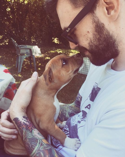 Et les animaux ? - 2