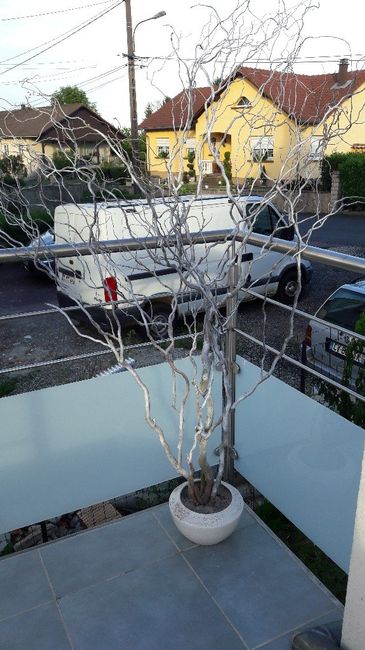  Arbre à dragées - 1