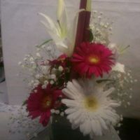 fleurs