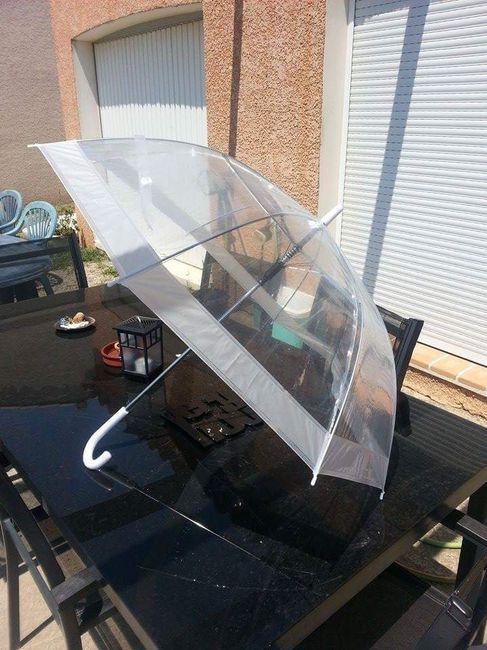 Mariage pluvieux, recherche parapluie - 1