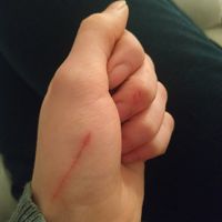 Question du soir - 1