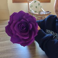 Rose violettes (filtres peints avant de faire la rose)