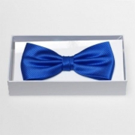 noeud papillon bleu
