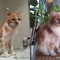 Mon bébé d'amour!