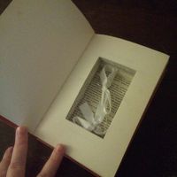  Alternative au mythique coussin d'alliances - 3