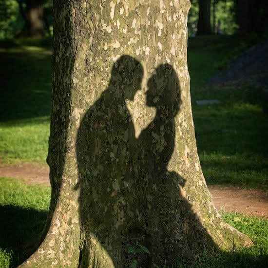 Trois photos de détails que j’aimerais capter (inspiration) - 1