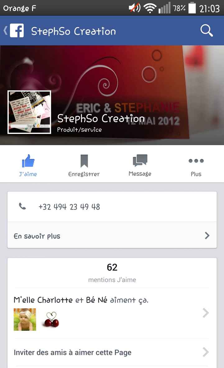 Nous nous marions le 7 Juin 2014 - Loir-et-Cher - 1