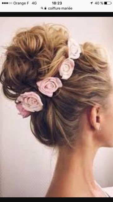 Recherche ce genre de roses - 1