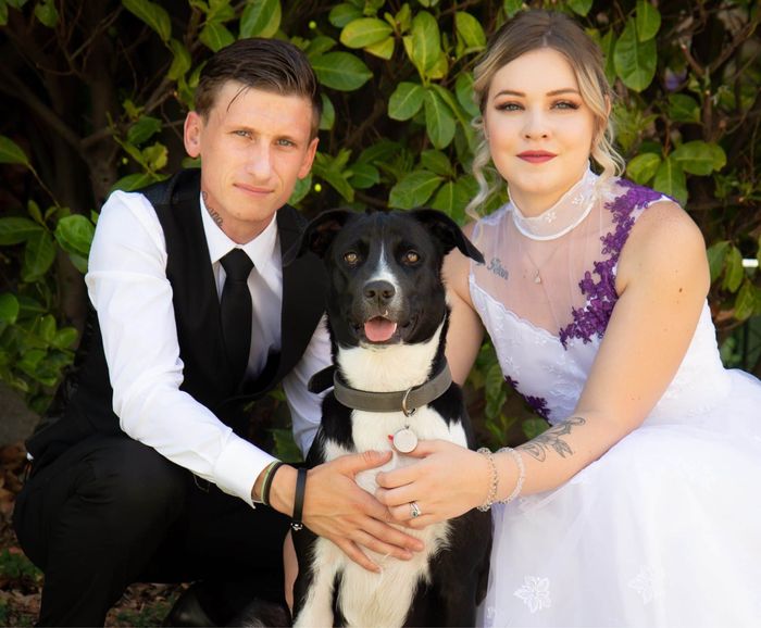 La mignonnerie du soir 🥰 8