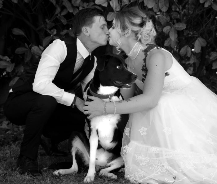 La mignonnerie du soir 🥰 9