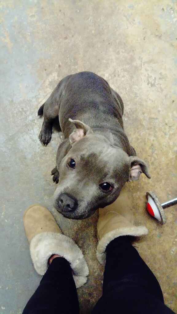 Question animaux - 1