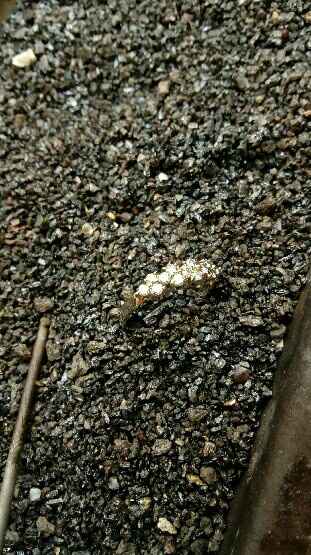  Demain je revois ma précieuse ! - 2