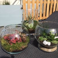 centres de table invités