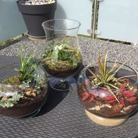 centres de table invités