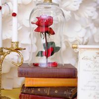 Décorations/renseignements - 1