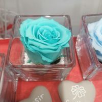 3. Tes préparatifs en 1 photo ! 🤳 - 1