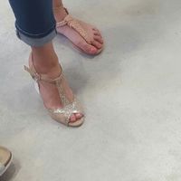 Sos chaussures!? - 3