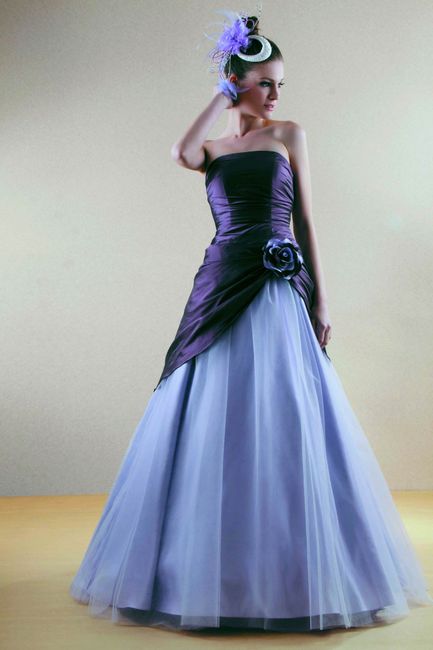 la robe à partir de laquelle la mienne sera inspirée