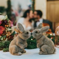  Notre mariage du 25 novembre 2017 - 34