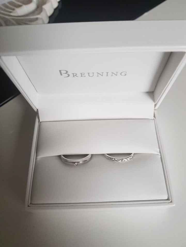 Nos précieuses alliances