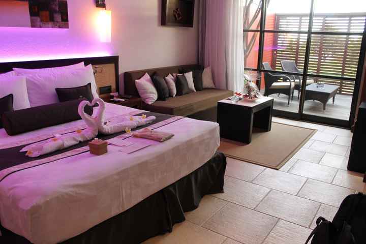 le palm