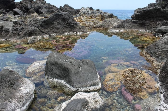 un bassin naturel