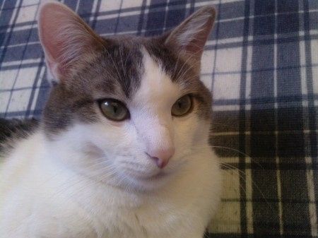 eliott mon petit coeur 