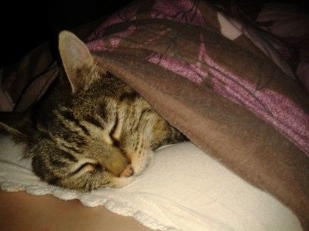 princesse ma petite mémère 