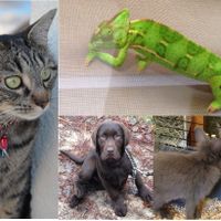 nos bébés a poils ou pas