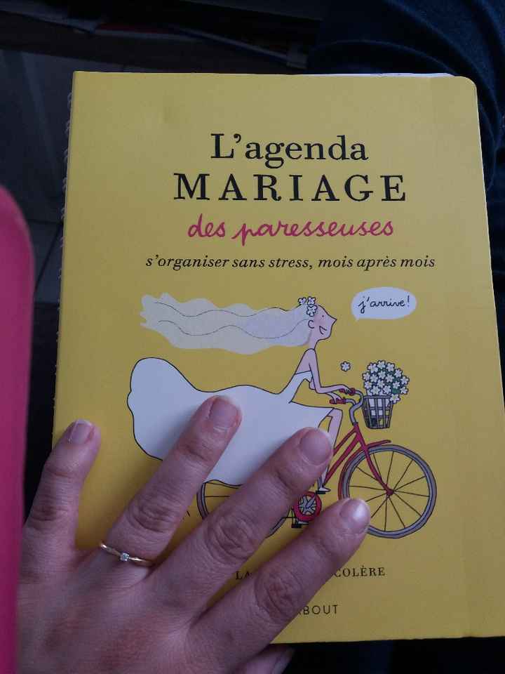 Agenda de mariée...vous aussi vous avez craquer ??? - 1