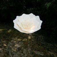 Vacances rime avec mariage - 2