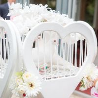 Je suis Madame et je ne descends plus de mon nuage :) - 5