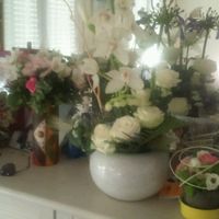 J+4 je suis madame ! - 9