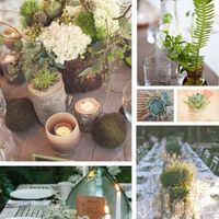 theme botanique, succulentes, lierre