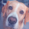 Milie