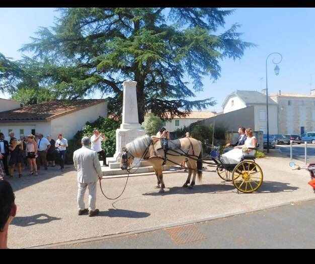 arrivée en calèche à la mairie