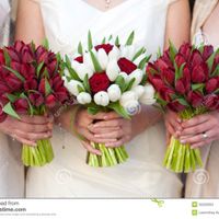 Bouquet tulipe